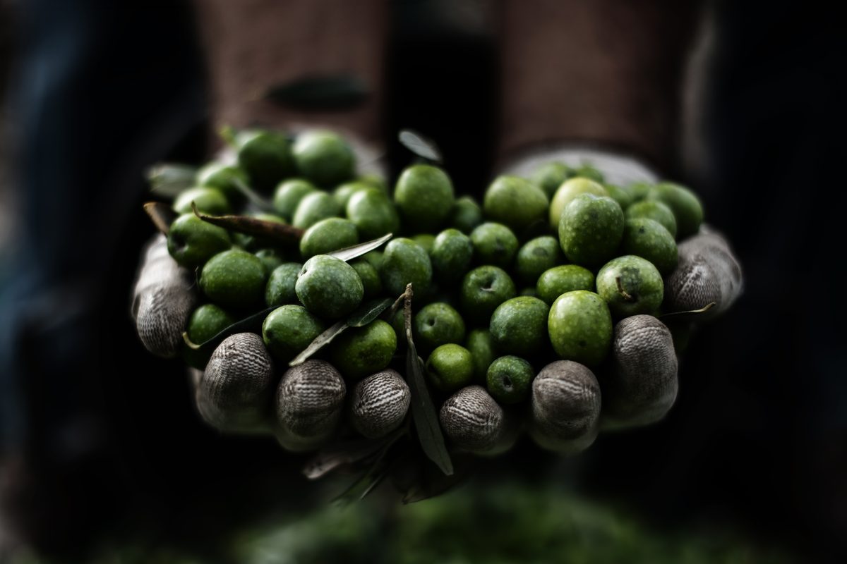 07_man_green_olives