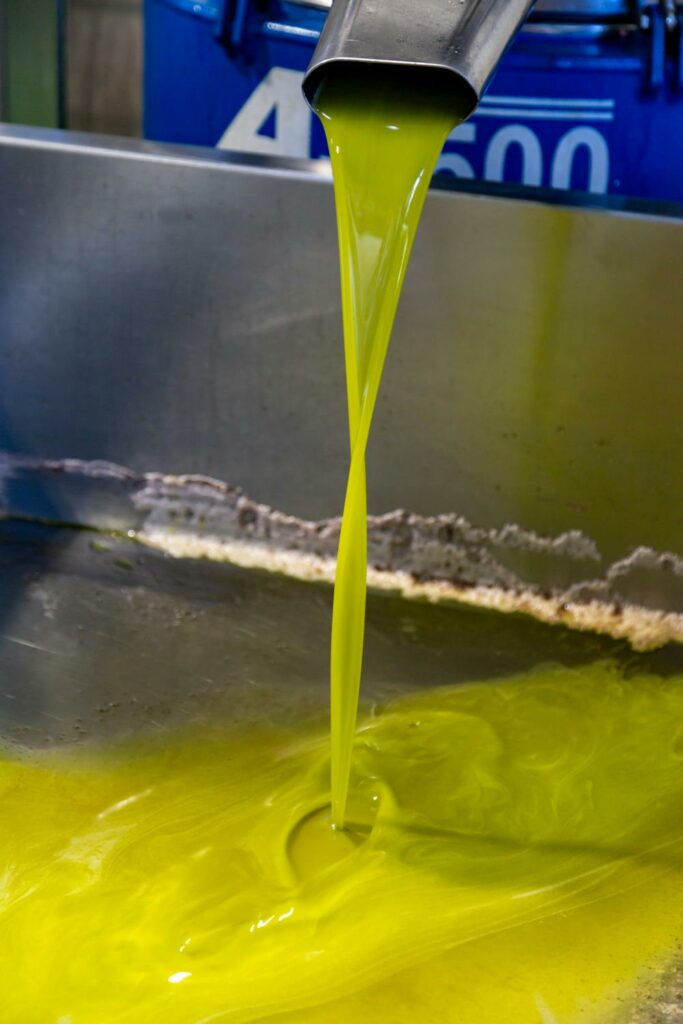 Świeża oliwa extra vergine — Olio Nuovo