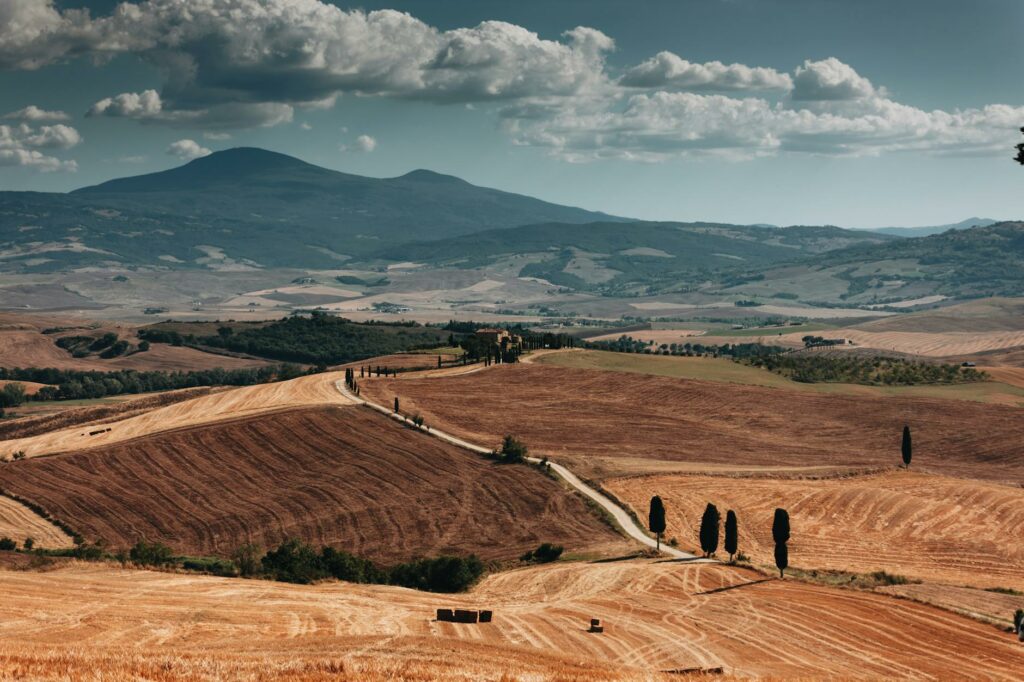 Podróż po szlaku oliwy: 7-dniowy itinerarium po Toskanii