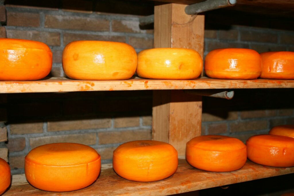 Warzywa fermentowane z oliwą: tradycja konserwacji