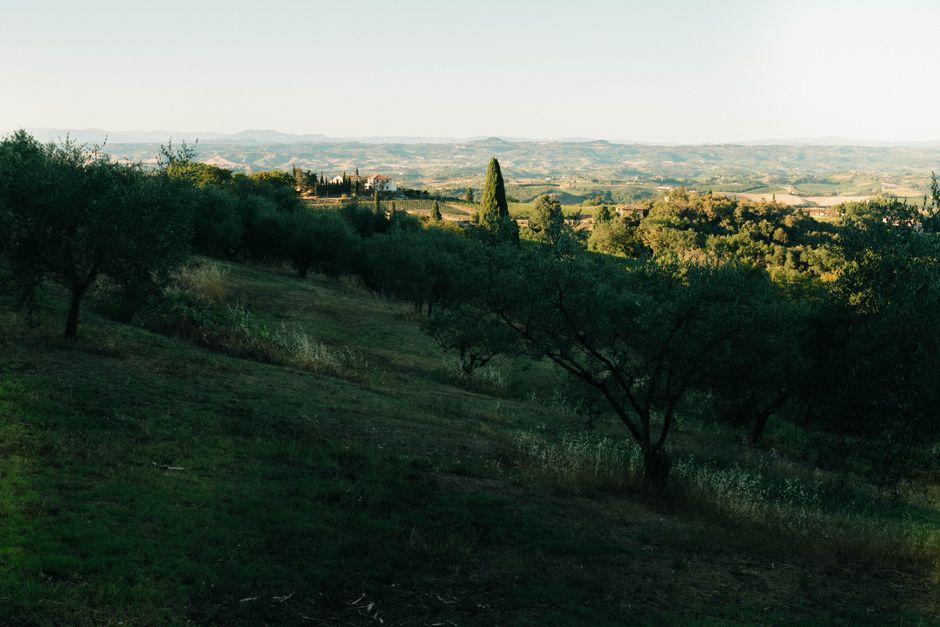 Cortona — etruska perła wśród toskańskich gajów oliwnych