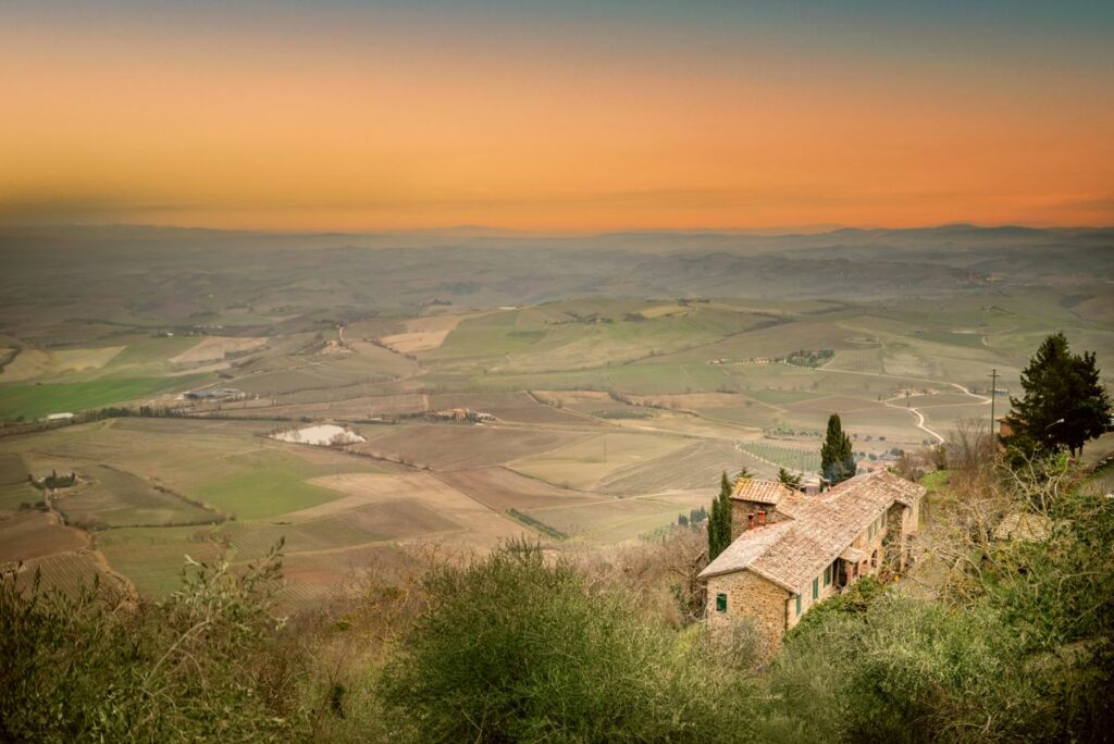 Montalcino w Toskanii — wzgórza, winnice i gaje oliwne