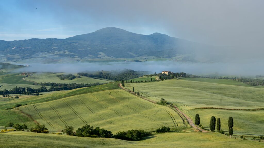 Krajobraz Val d'Orcia w Toskanii — wzgórza, cyprysy i gaje oliwne